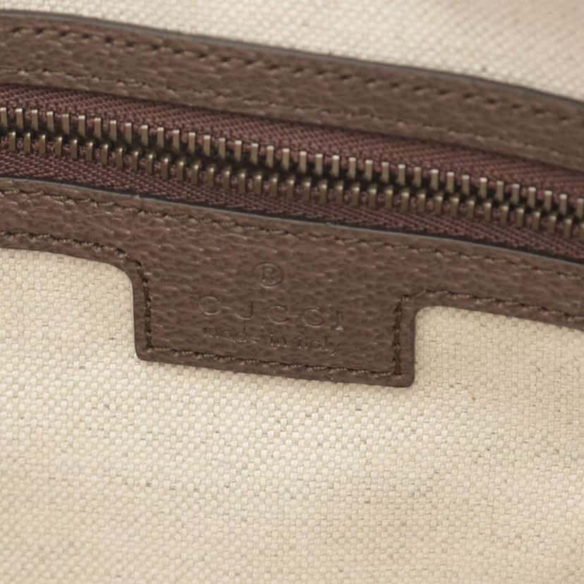 Gucci Small GG Supreme Web Ophidia Crossbody Brown Canvas Very good condition - Model View
