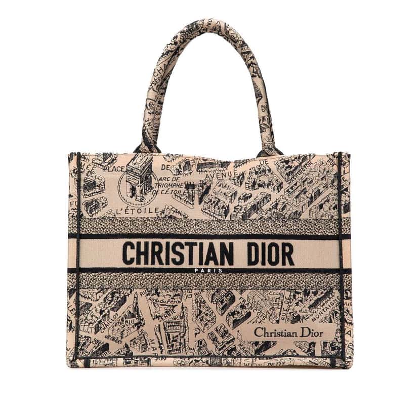 Dior Medium Embroidered Canvas Plan de Paris Book Tote Brown Canvas Good condition - Front View