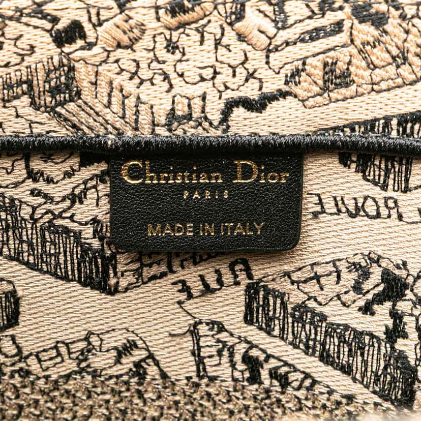 Dior Medium Embroidered Canvas Plan de Paris Book Tote Brown Canvas Good condition - Box View