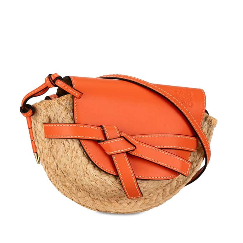 Loewe Mini Raffia Gate Crossbody Brown Good condition - Back View