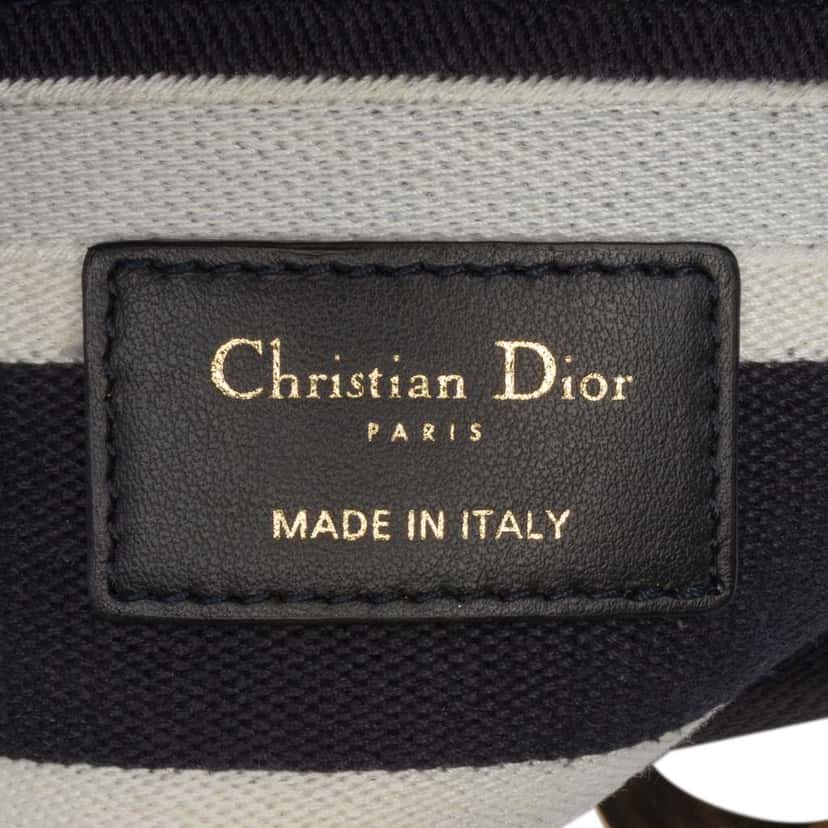 Dior Medium Embroidered Canvas Cornely Lady D Lite Blue Canvas Good condition - Box View