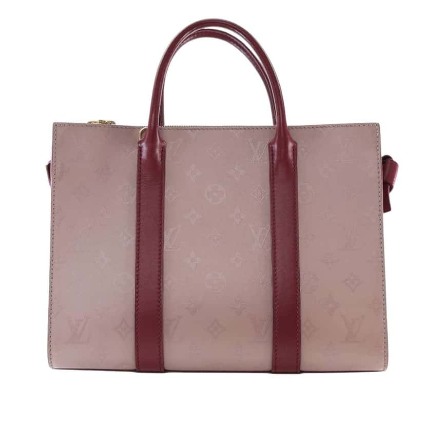 Louis Vuitton Monogram Cuir Plume Very Tote MM Brown Leather Good condition - Model View