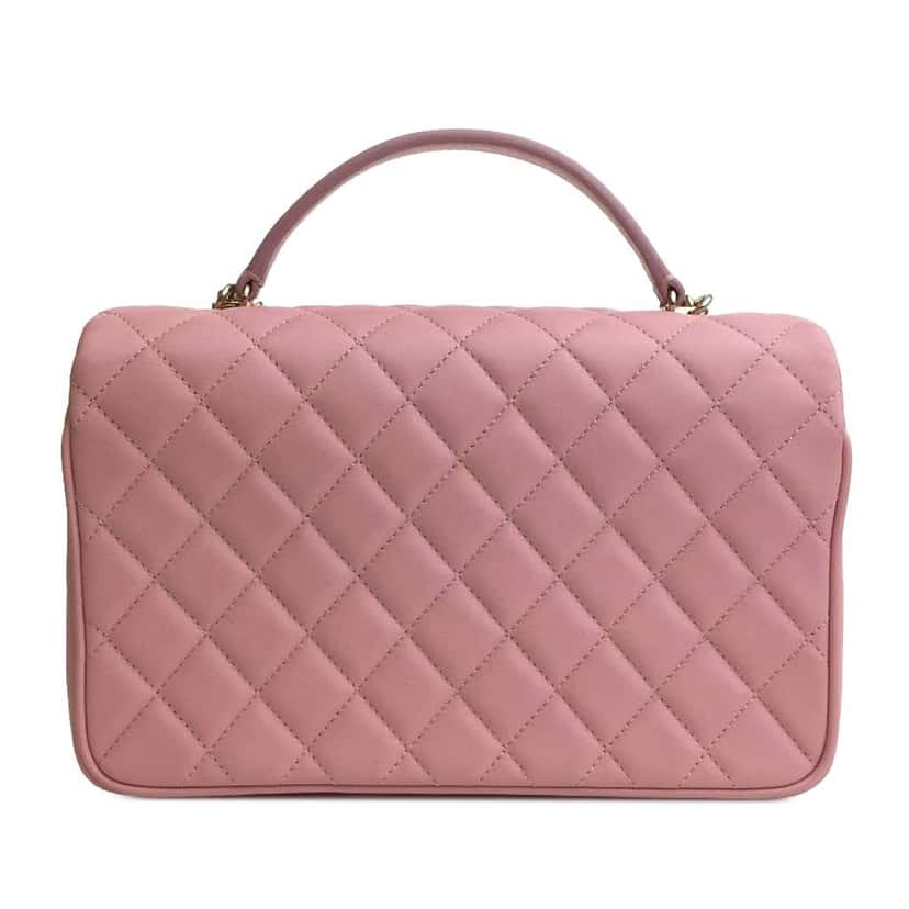 Chanel Small Lambskin Citizen Chic Flap Pink Leather Good condition - Back View