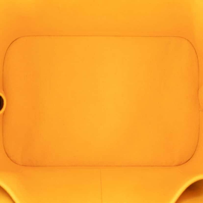 Louis Vuitton Epi Alma PM Yellow Leather Good condition - Model View