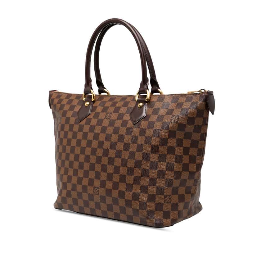 Louis Vuitton Damier Ebene Saleya MM Brown Good condition - Back View