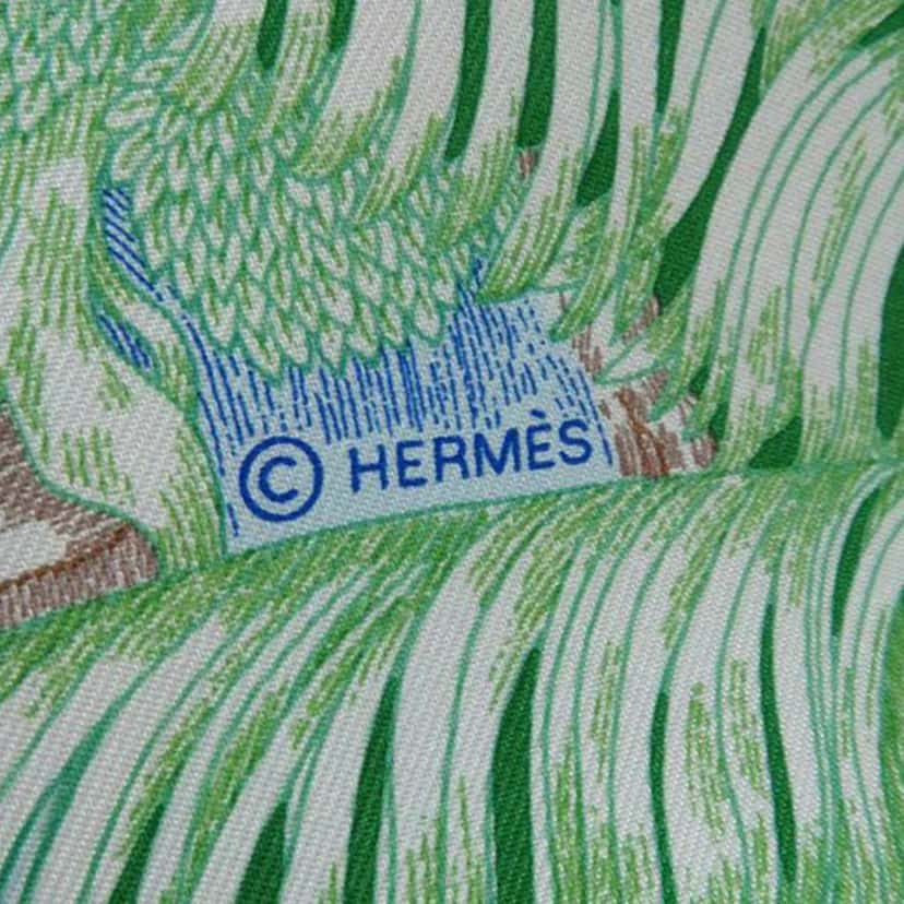 Hermès Faubourg Tropical Silk Scarf Green Silk Very good condition - Back View