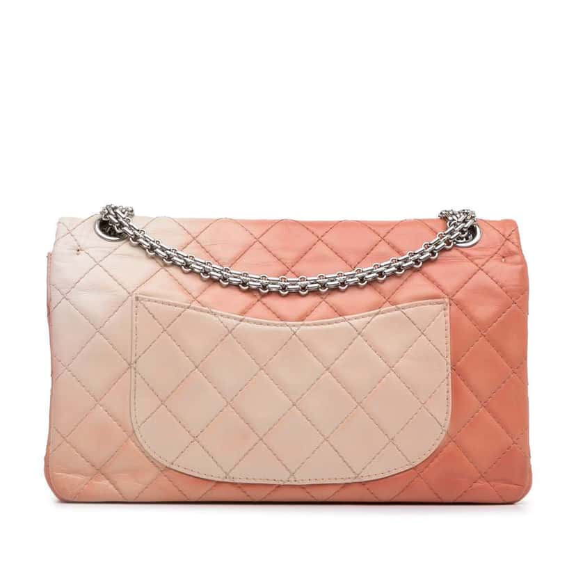 Chanel Ombre Reissue 225 Double Flap Orange Leather Very good condition - Model View