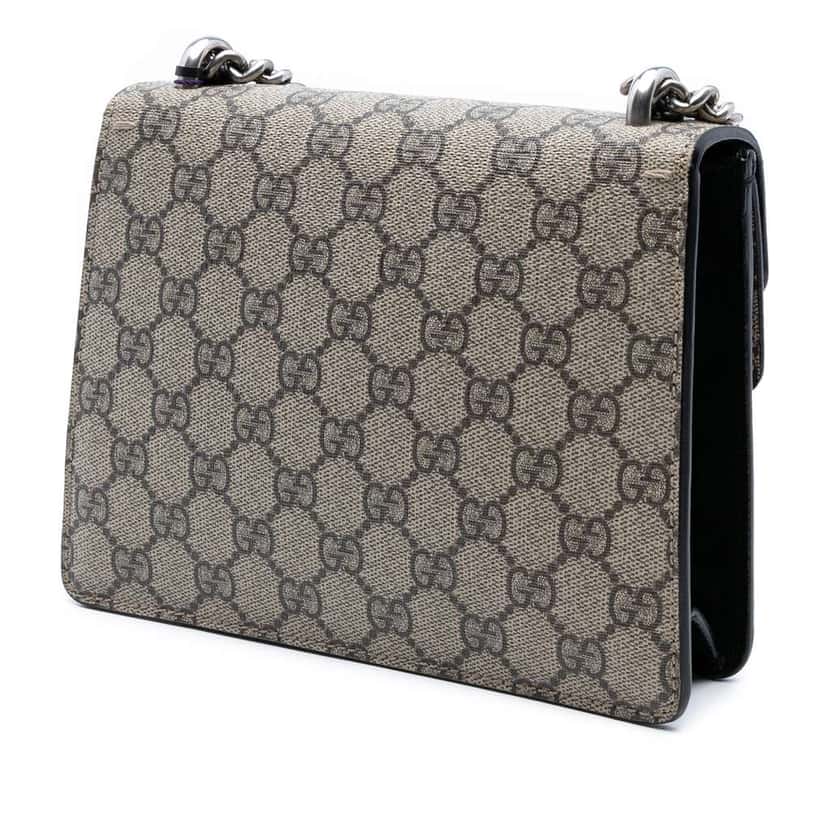 Gucci Small GG Supreme Dionysus Crossbody Brown Canvas Good condition - Back View