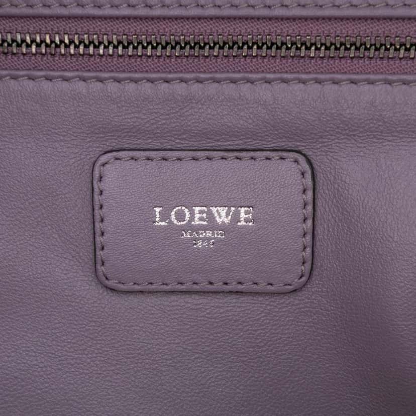 Loewe Tricolor Goatskin Amazona 36 Purple Leather Good condition - Box View