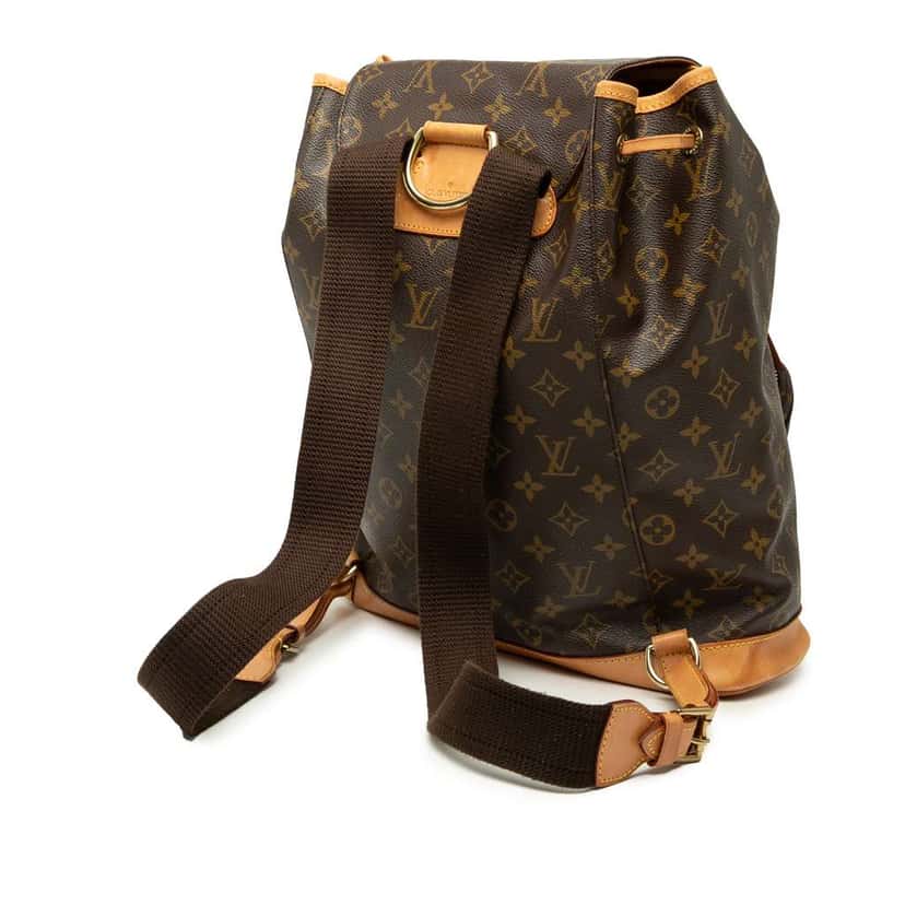 Louis Vuitton Monogram Montsouris GM Brown Good condition - Back View