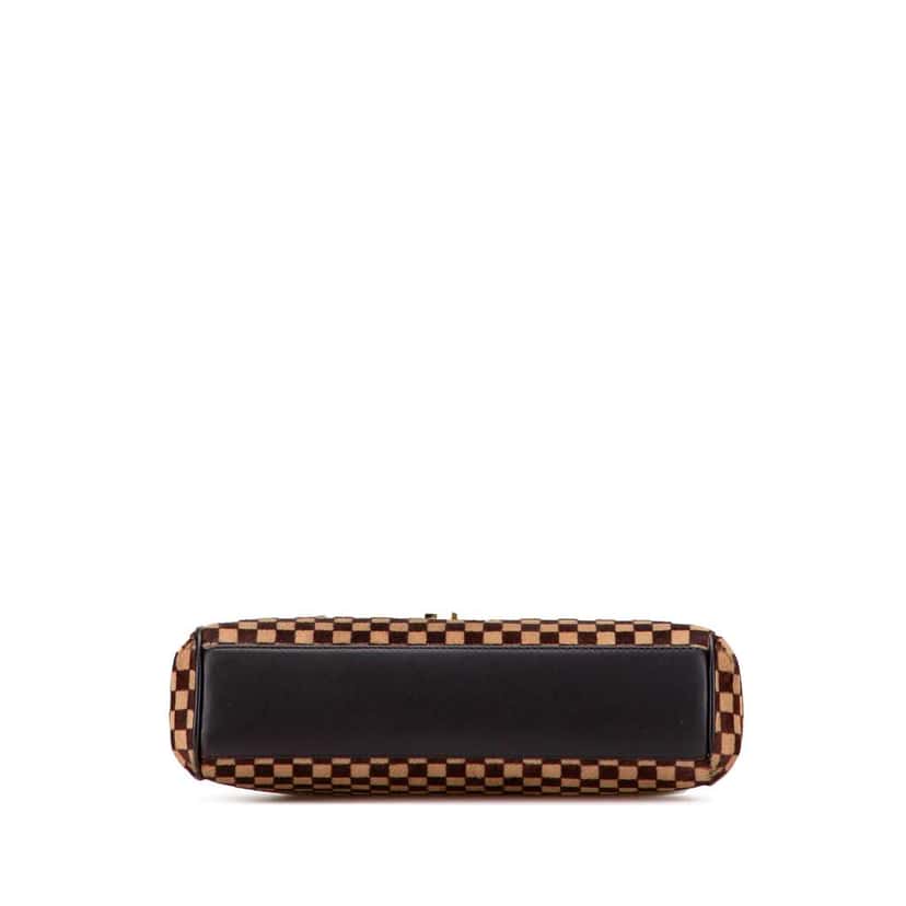 Louis Vuitton Damier Sauvage Lionne Brown Good condition - Inside View