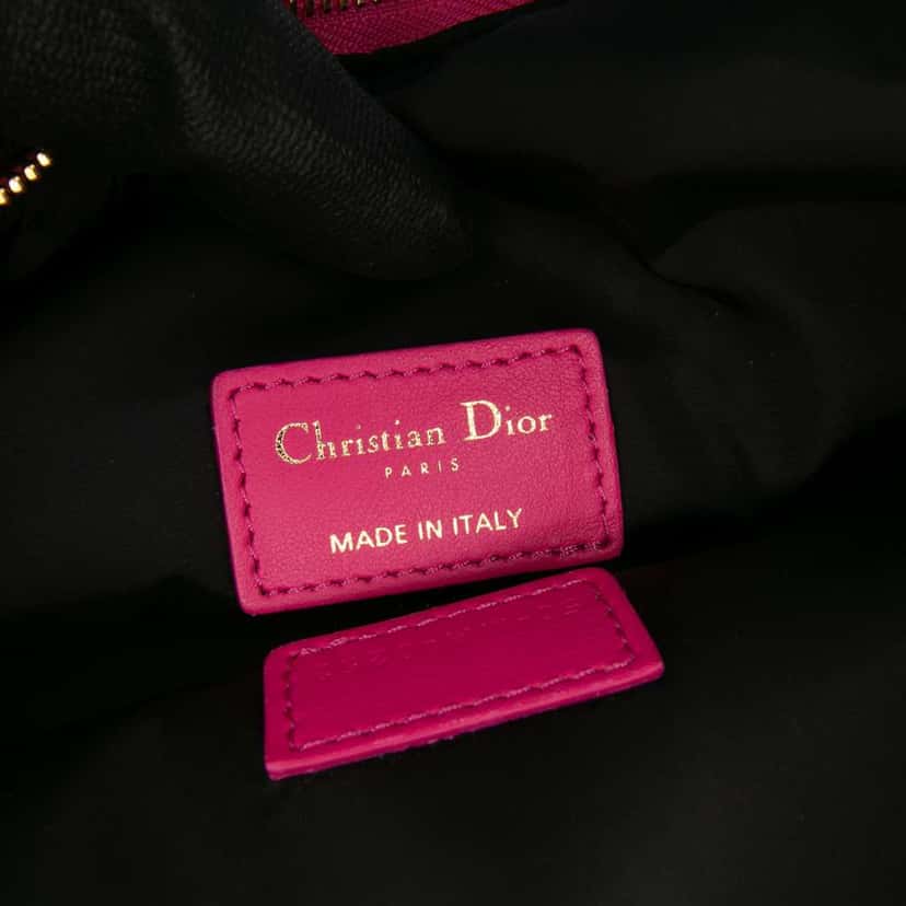 Dior Medium Technical Fabric Toile de Jouy Reverse DiorTravel Nomad Pouch Pink Polyester Very good condition - Box View