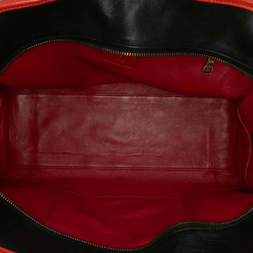 Loewe Tricolor Leather Amazona 36 Red Leather Good condition - Model View