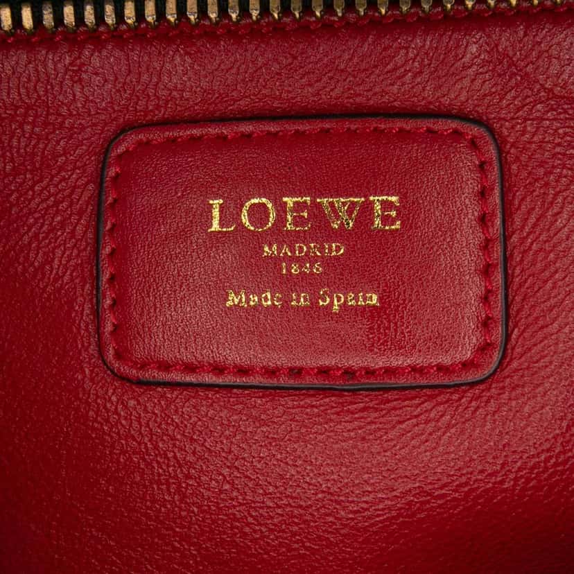 Loewe Tricolor Leather Amazona 36 Red Leather Good condition - Box View