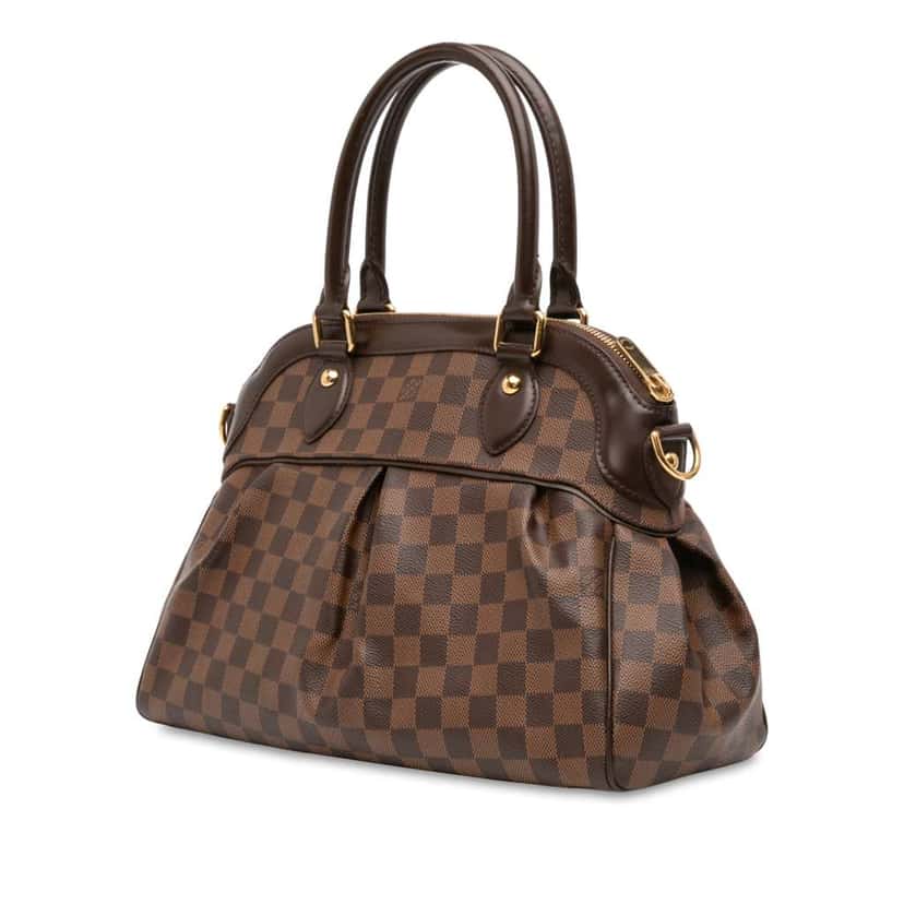 Louis Vuitton Damier Ebene Trevi PM Brown Good condition - Back View
