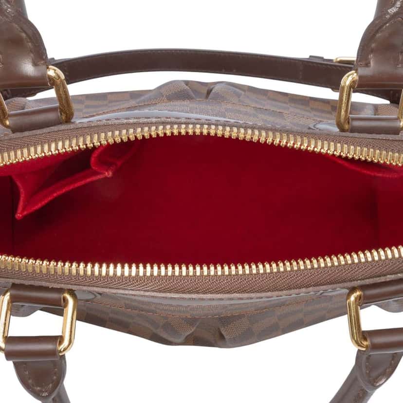 Louis Vuitton Damier Ebene Trevi PM Brown Good condition - Model View