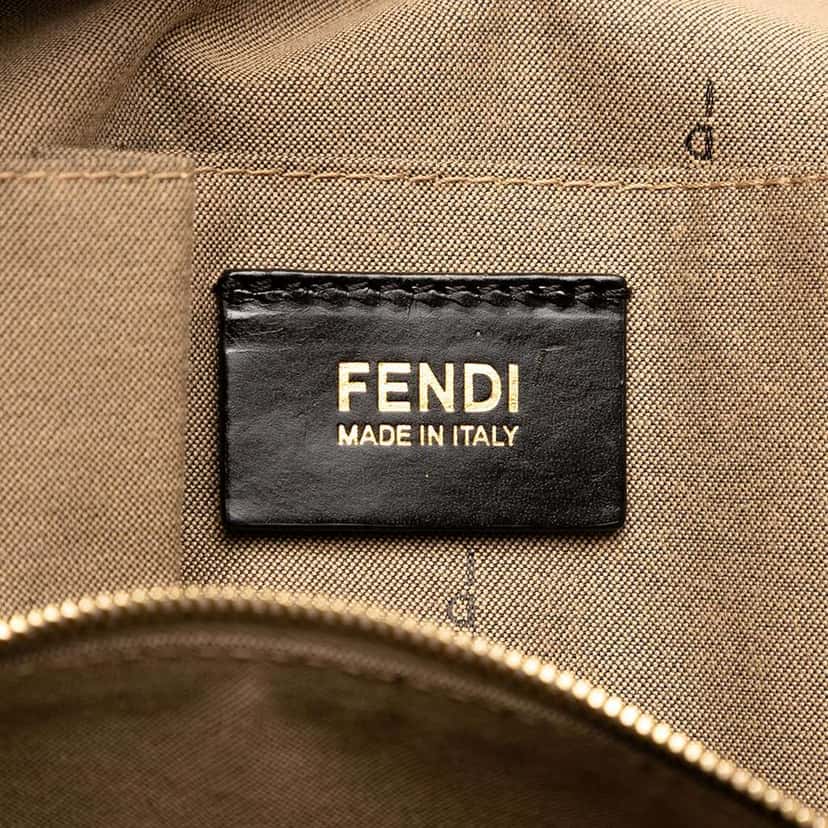 Fendi Small Canvas Colorblock Chameleon Satchel Brown Canvas Very good condition - Box View