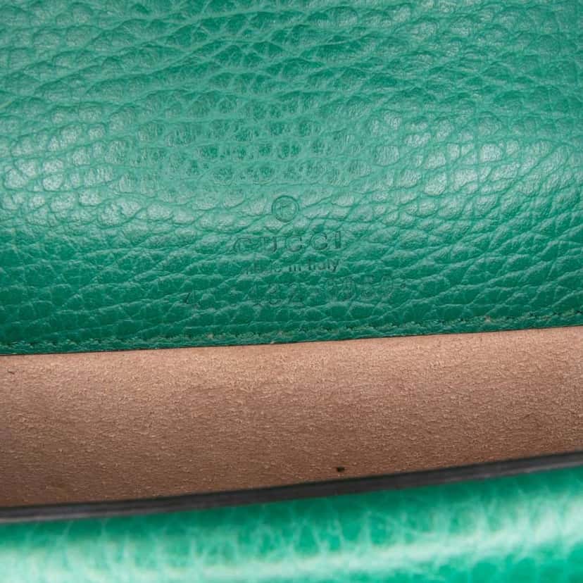 Gucci Mini Leather Dionysus Crossbody Green Leather Good condition - Box View