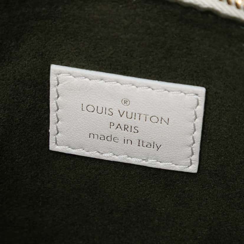 Louis Vuitton Monogram Embossed Puffy Lambskin Coussin PM Brown Leather Good condition - Box View