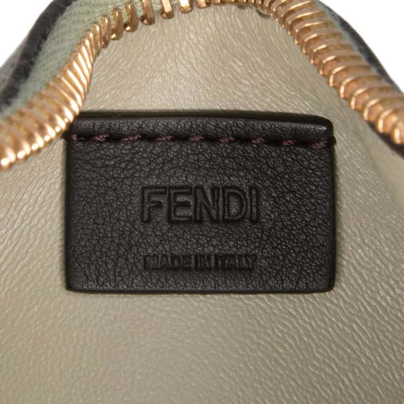 Fendi Nano Leather Fendigraphy Hobo Green Leather Good condition - Box View