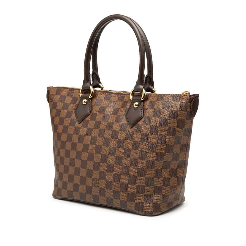 Louis Vuitton Damier Ebene Saleya PM Brown Good condition - Back View