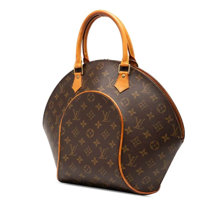 Louis Vuitton Monogram Ellipse MM Brown Good condition - Back View