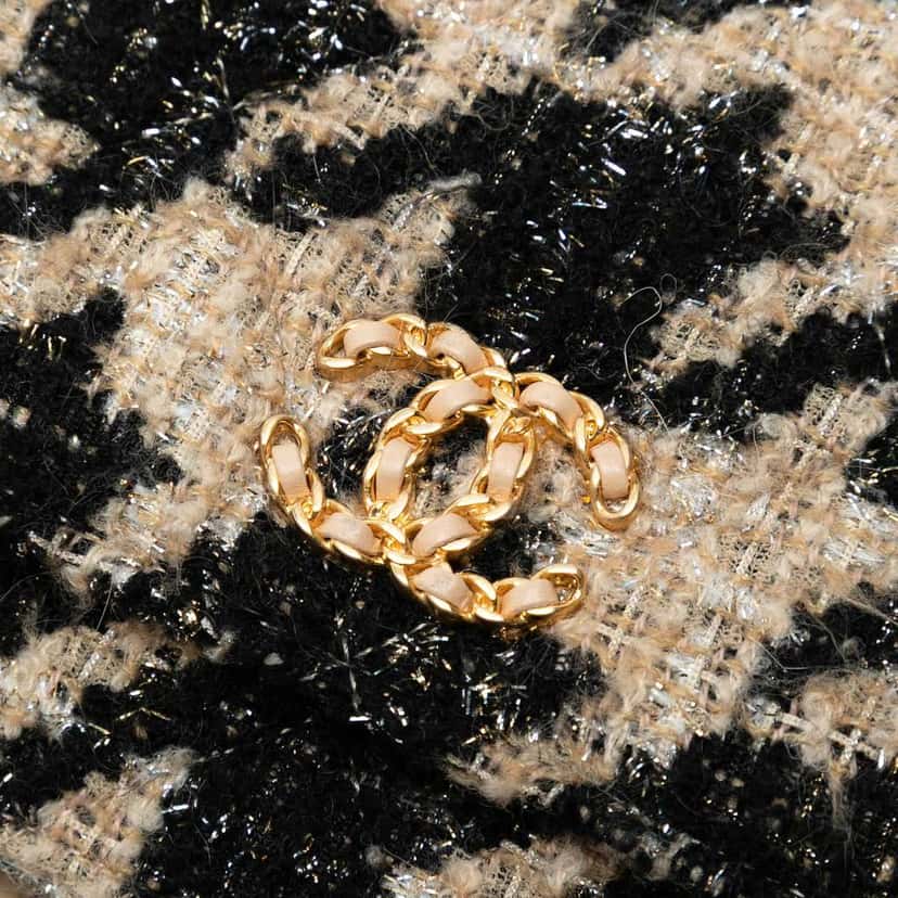 Chanel Houndstooth Tweed 19 Wallet On Chain Brown Tweed Good condition - Box View