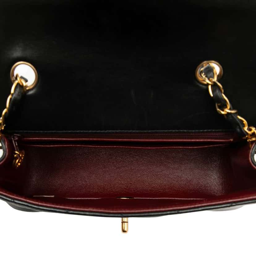 Chanel Small Lambskin Diana Flap Black Leather Good condition - Model View