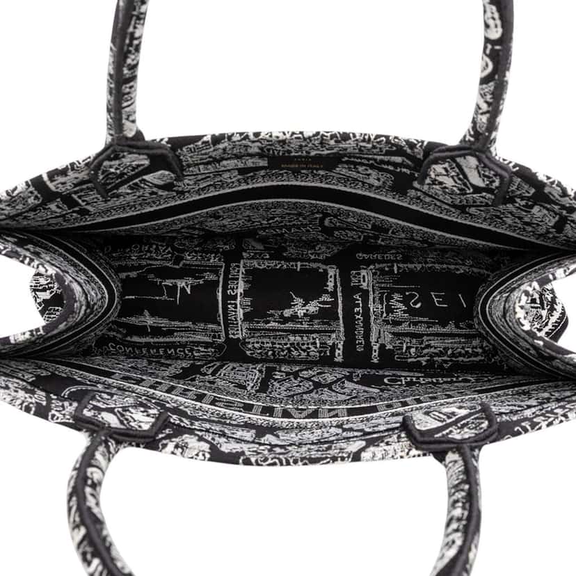 Dior Medium Canvas Embroidered Plan De Paris Book Tote Black Canvas Good condition - Model View