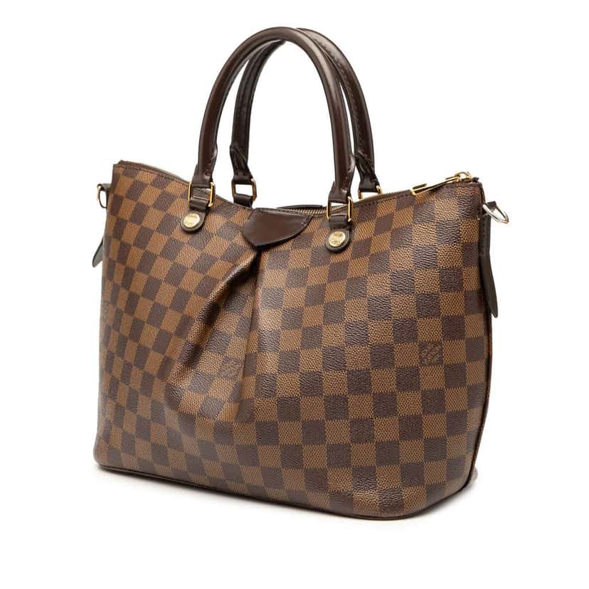Louis Vuitton Damier Ebene Siena MM Brown Good condition - Back View