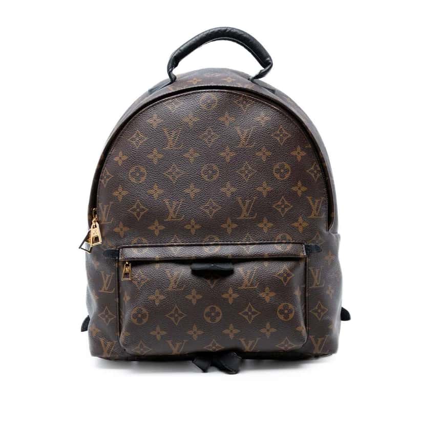 Louis Vuitton Monogram Palm Springs MM Brown Good condition - Front View