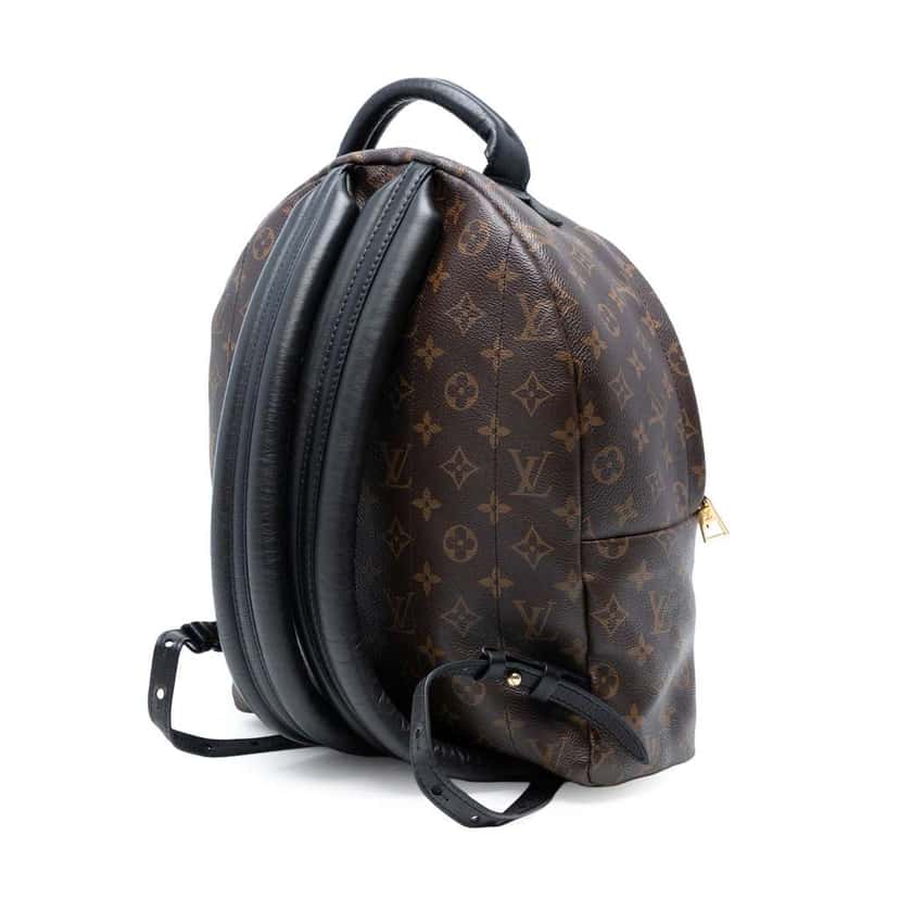 Louis Vuitton Monogram Palm Springs MM Brown Good condition - Back View