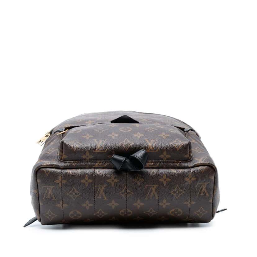 Louis Vuitton Monogram Palm Springs MM Brown Good condition - Inside View