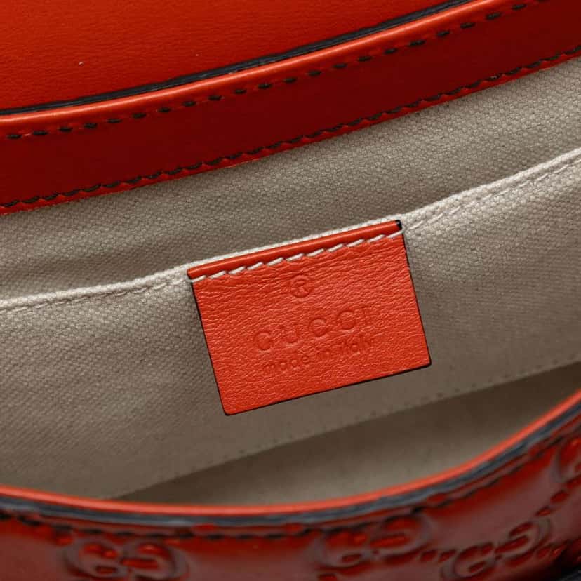 Gucci Medium Guccissima Emily Shoulder Bag Orange Leather Good condition - Box View