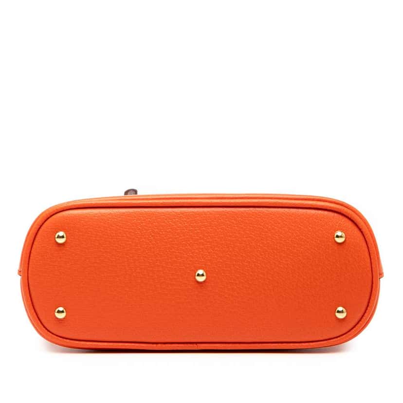 Gucci Mini Dollar Calfskin Bamboo Diana Dome Satchel Orange Leather Very good condition - Inside View