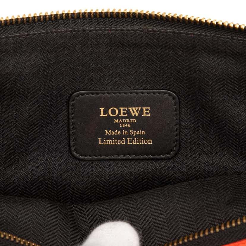 Loewe Multicolor Leather Anagram Clutch Orange Leather Good condition - Box View