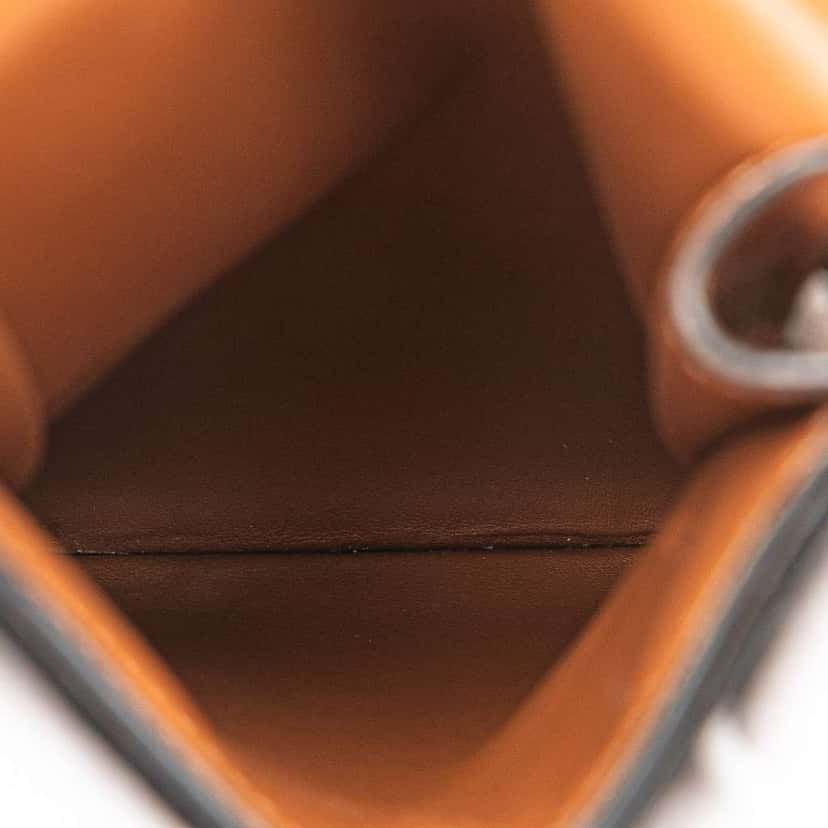 Celine Triomphe Coated Canvas Phone Pouch Flap Crossbody Brown Canvas Good condition - Model View