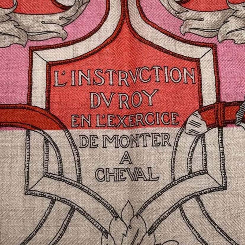 Hermès L Instrvction Dv Roy du Roy Bayadere Silk Scarf Brown Silk Very good condition - Back View