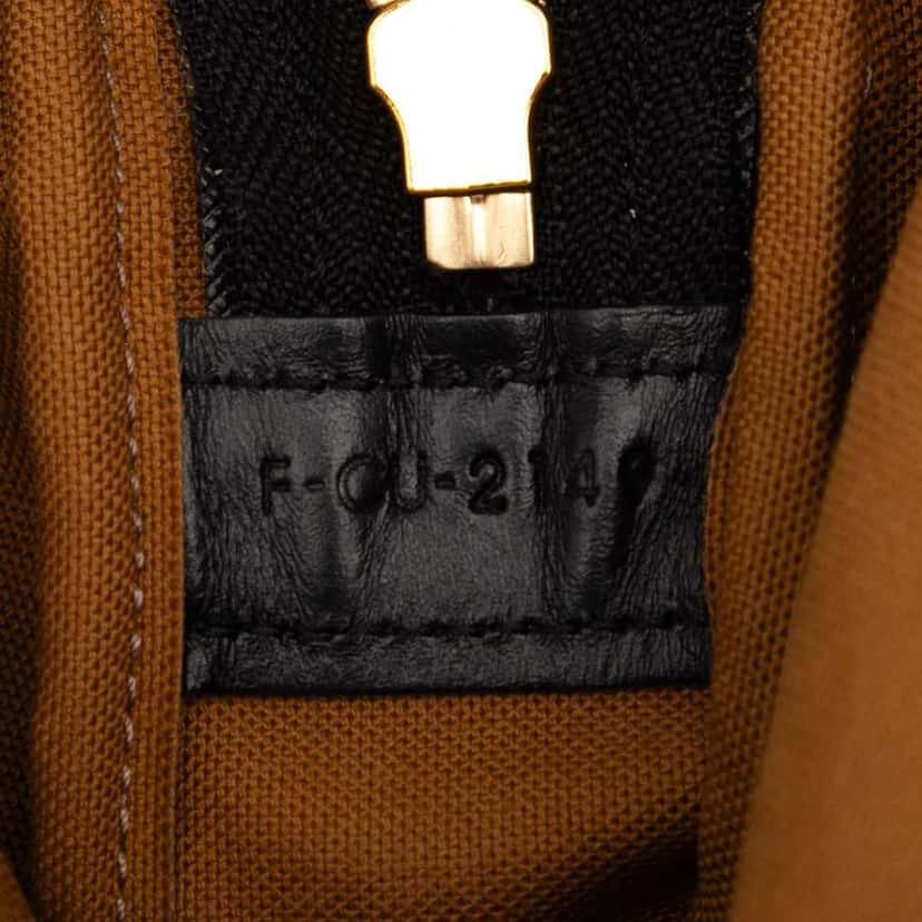 Celine Triomphe Coated Canvas Vertical Crossbody Brown Canvas Very good condition - Box View