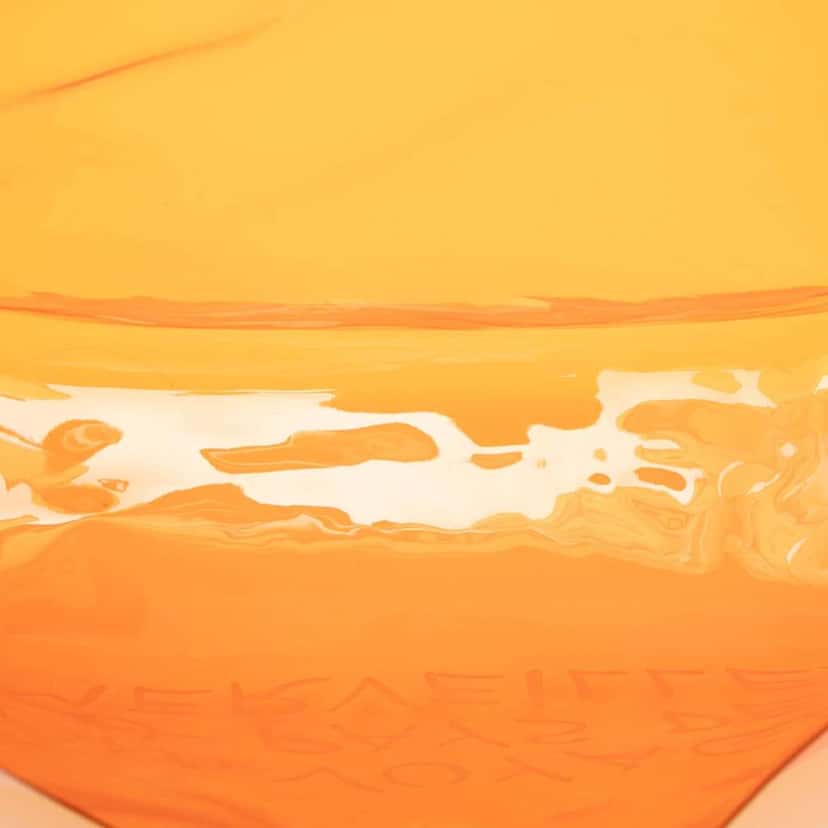 Hermès Vinyl Souvenir De L Exposition Kelly Handbag Orange Good condition - Model View