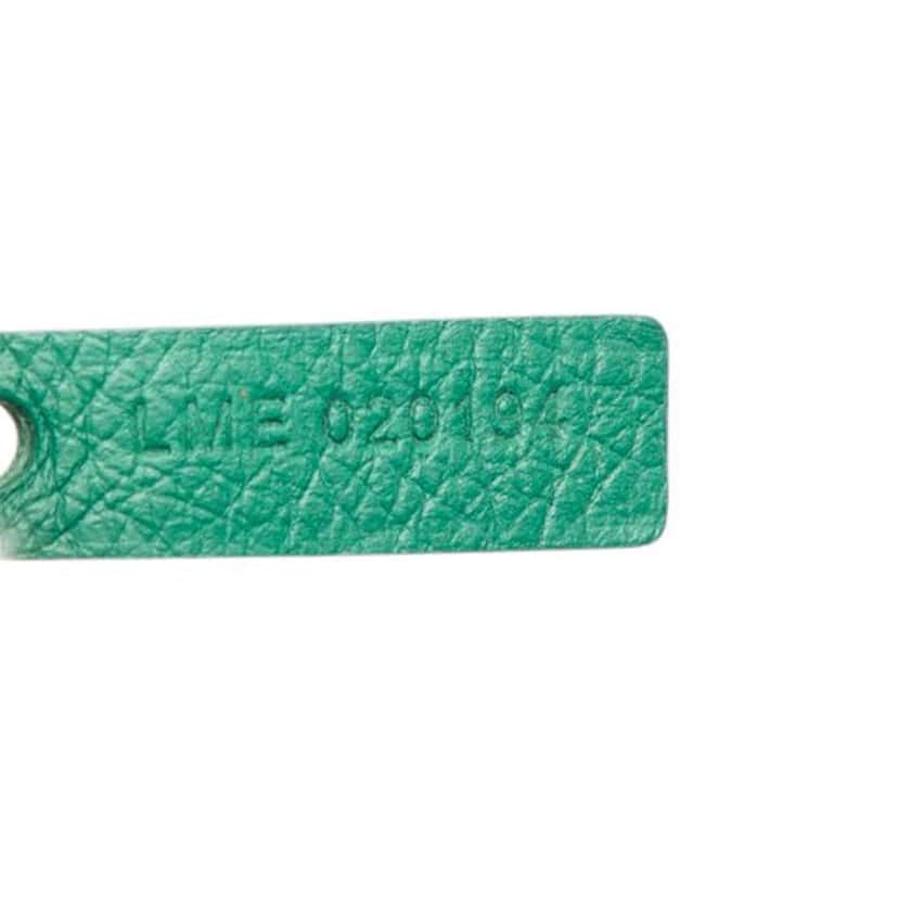 Goyard Goyardine Saint Louis GM Green Canvas Good condition - Box View