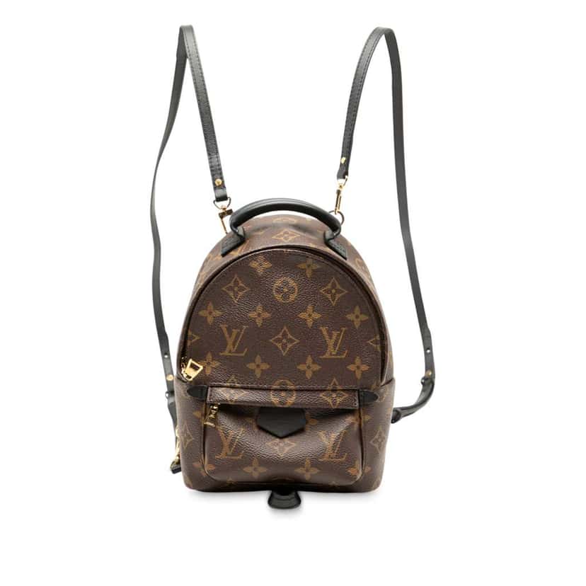 Louis Vuitton Monogram Mini Palm Springs Brown Good condition - Front View