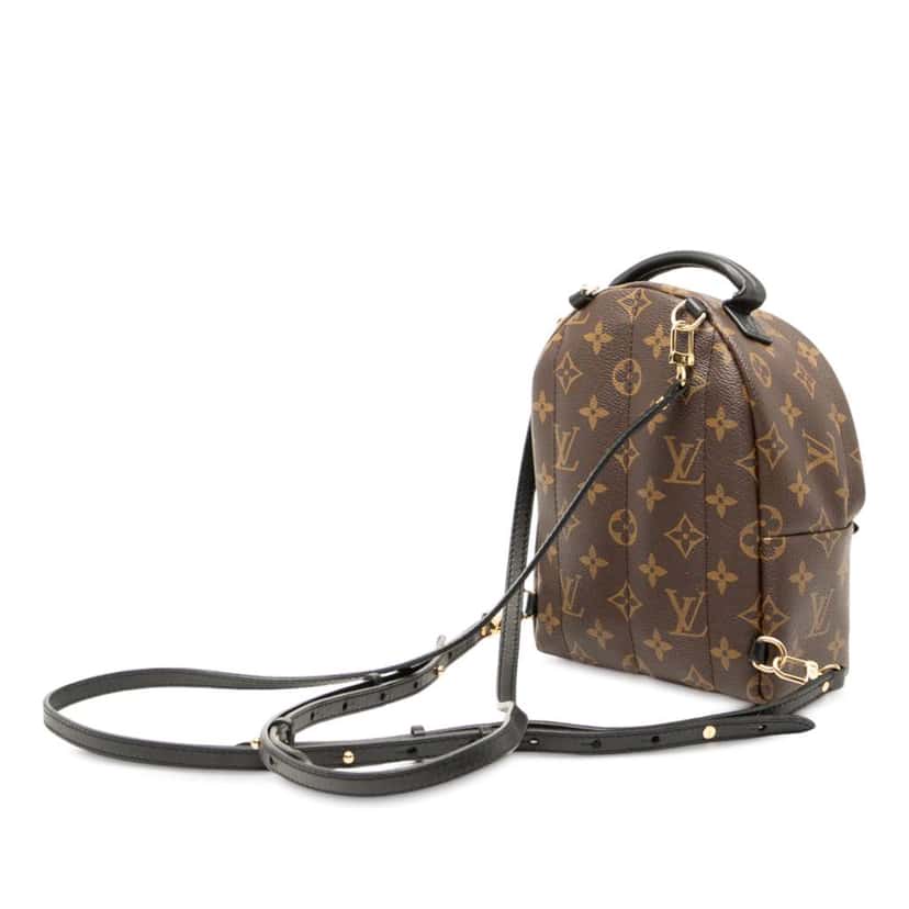 Louis Vuitton Monogram Mini Palm Springs Brown Good condition - Back View