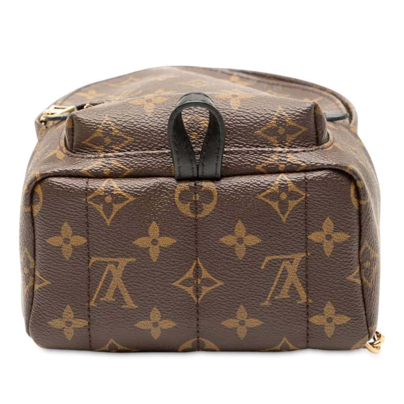 Louis Vuitton Monogram Mini Palm Springs Brown Good condition - Inside View