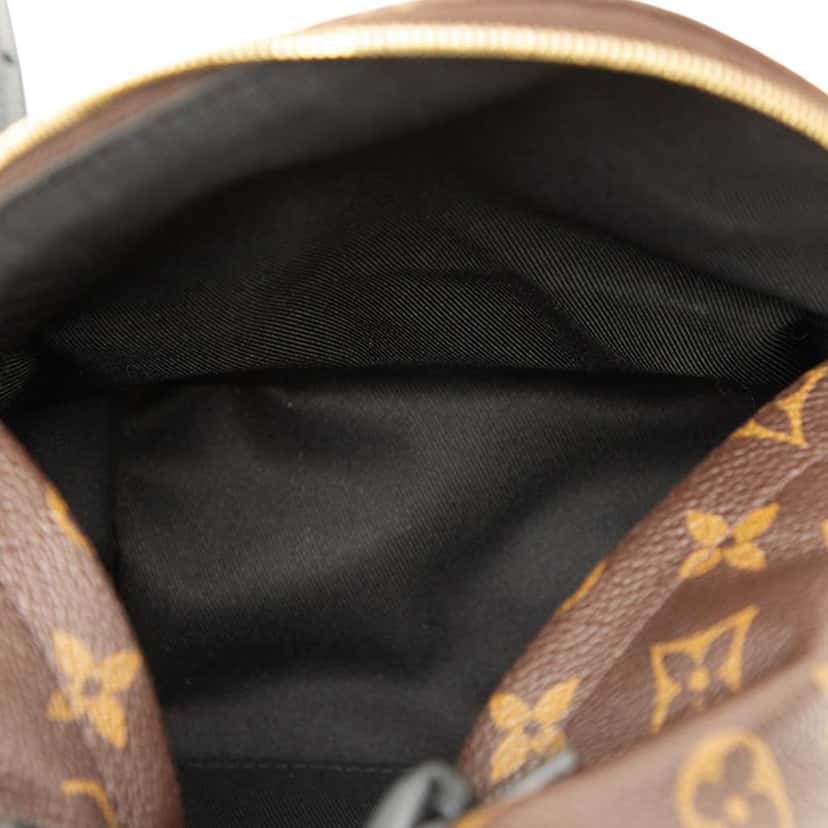 Louis Vuitton Monogram Mini Palm Springs Brown Good condition - Model View