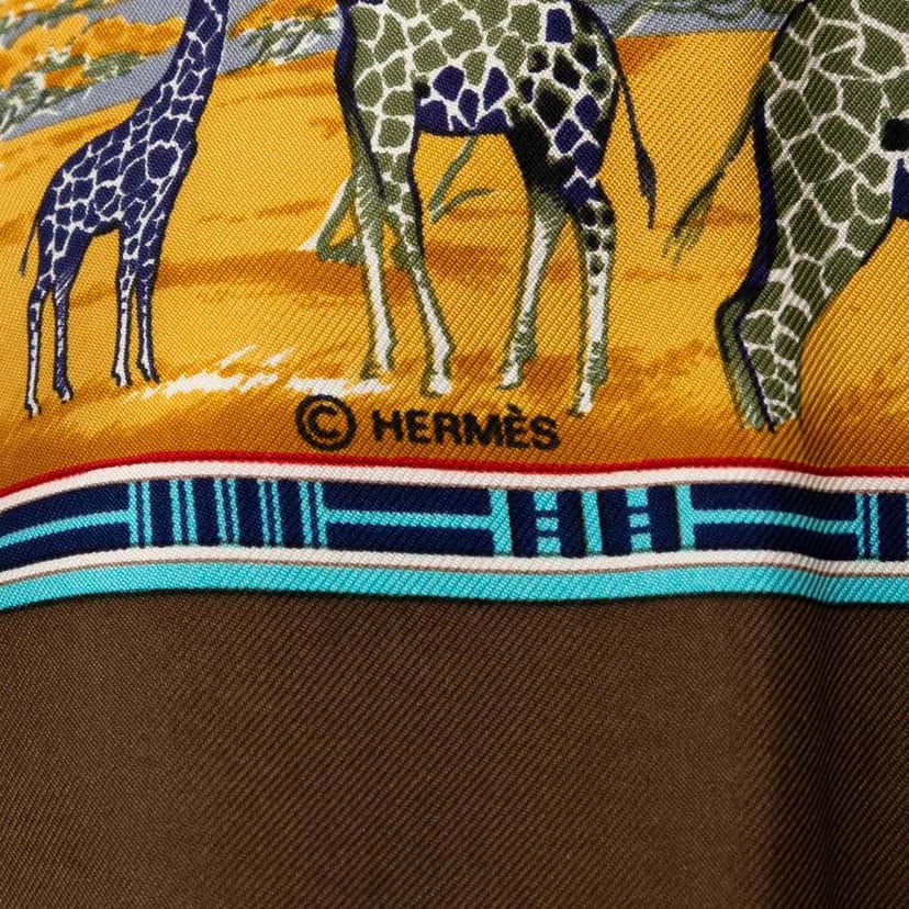 Hermès Tropiques de Paradis Silk Scarf Brown Silk Good condition - Model View