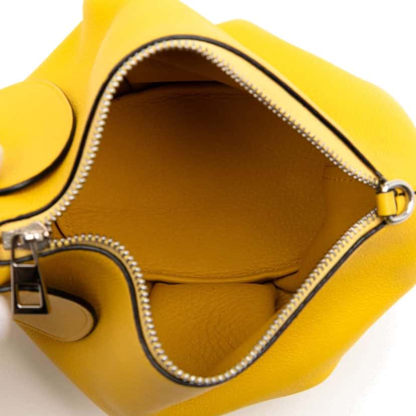 Loewe Mini Calfskin Elephant Crossbody Yellow Leather Good condition - Model View