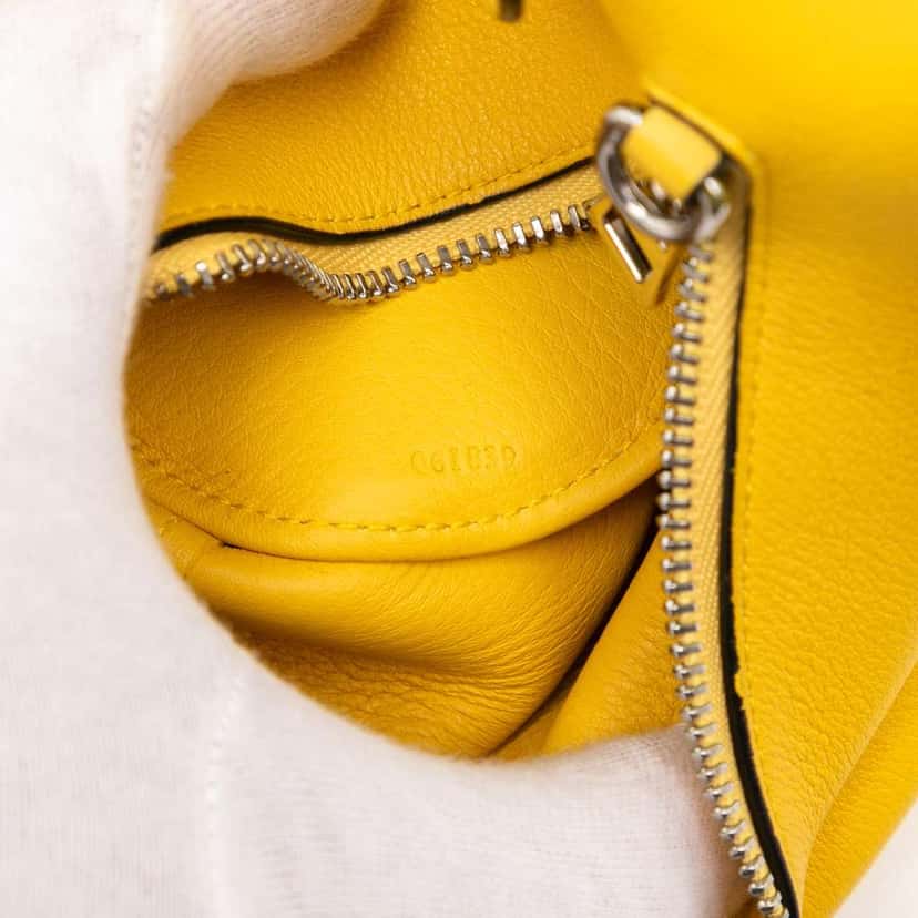 Loewe Mini Calfskin Elephant Crossbody Yellow Leather Good condition - Box View