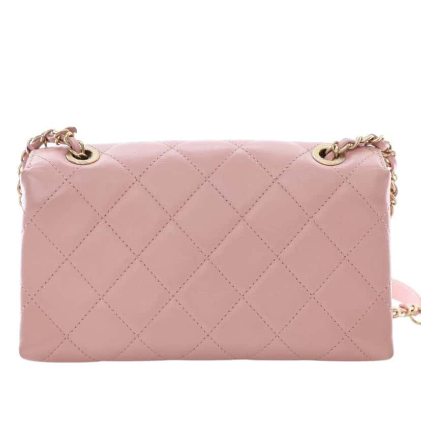 Chanel Small Quilted Calfskin Enchained Flap Pink Leather Good condition - Model View