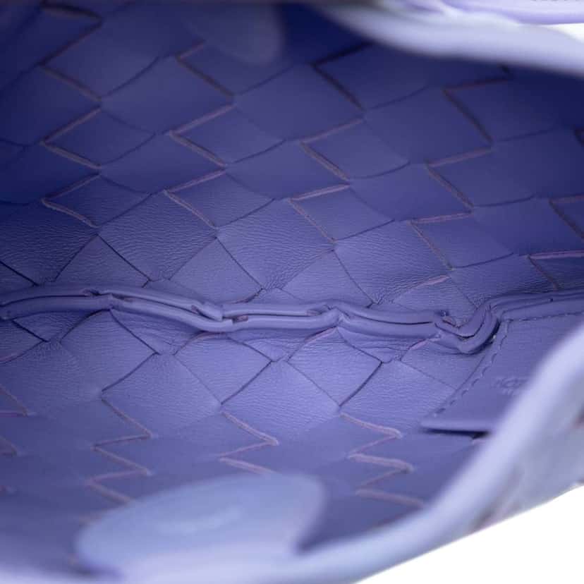 Bottega Veneta Baby Lambskin Intrecciato Sardine Bag Purple Leather Good condition - Model View
